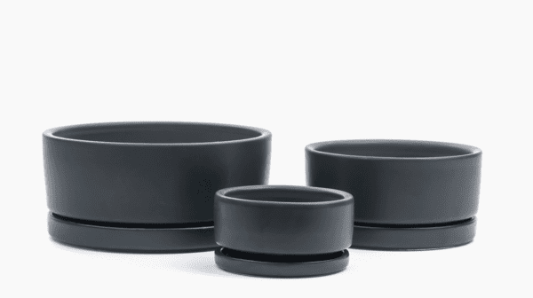 8.25" Gemstone Low-Bowl with Water Tray / Black
