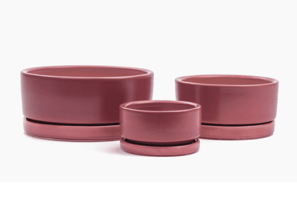 8.25" Gemstone Low-Bowl with Water Tray / Punch