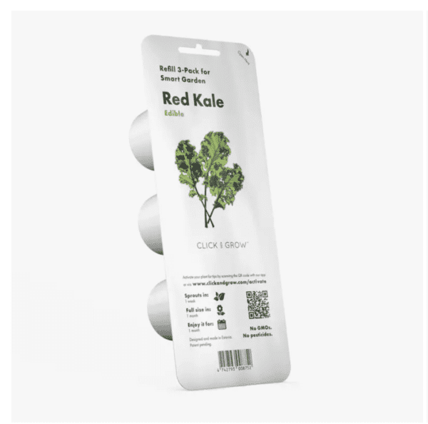 Red Kale Plant Pod