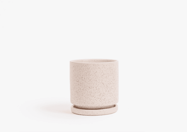 4.5" Gemstone Cylinder Pot / White Sesame