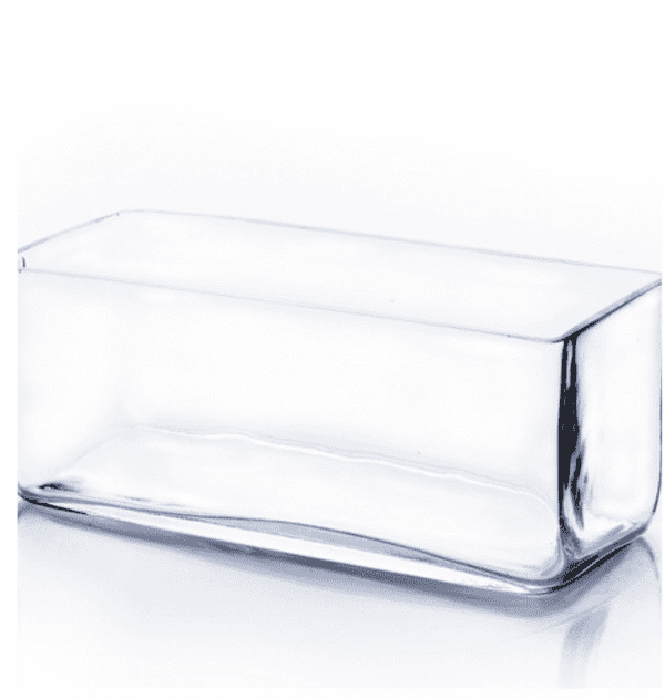 Rectangle Glass Terrarium - 10"