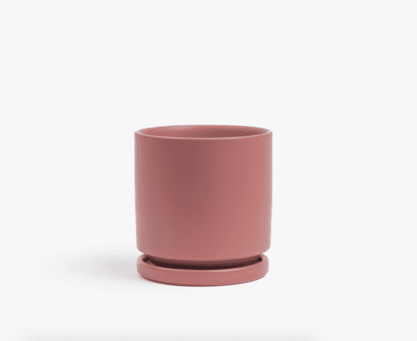 10.5 Gemstone Cylinder Pot / Dusty Rose