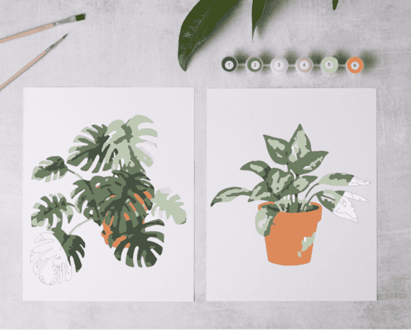 Paint by Numbers / Tropical Plants