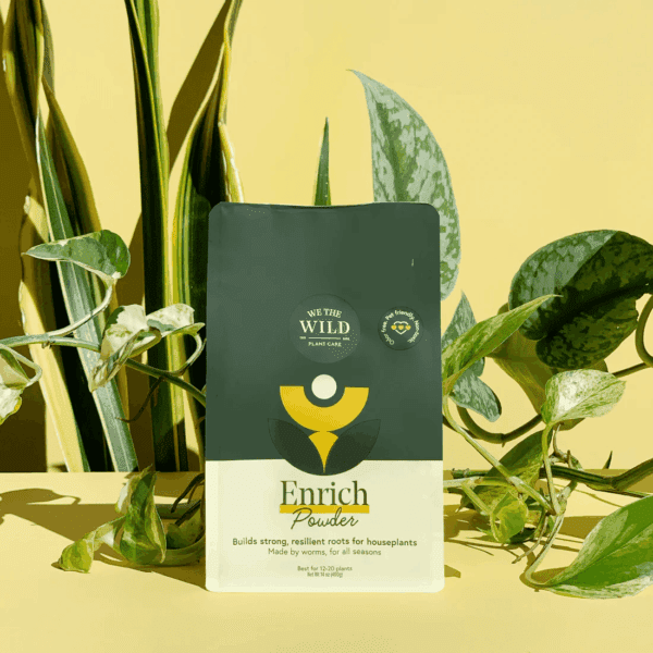 We The Wild / Enrich Powder